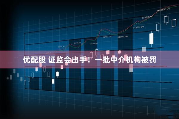 优配股 证监会出手！一批中介机构被罚