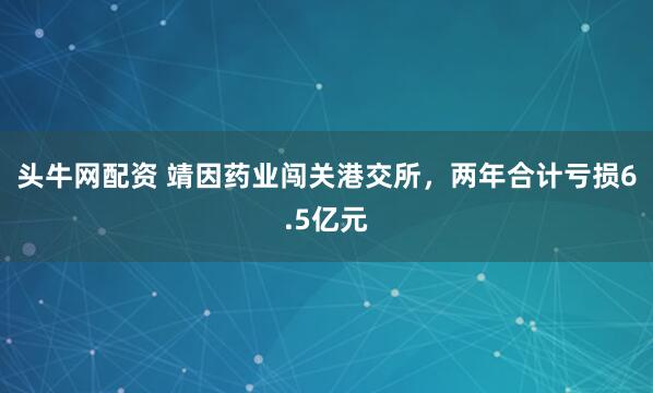 头牛网配资 靖因药业闯关港交所，两年合计亏损6.5亿元