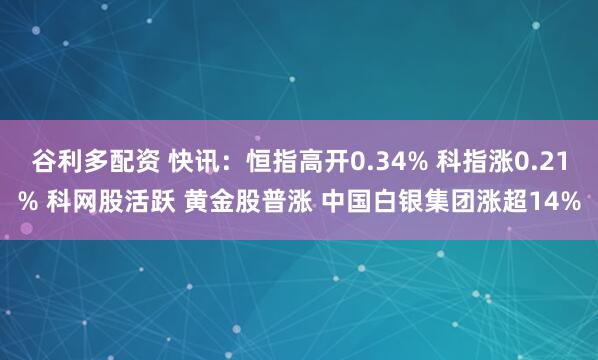 谷利多配资 快讯：恒指高开0.34% 科指涨0.21% 科网股活跃 黄金股普涨 中国白银集团涨超14%