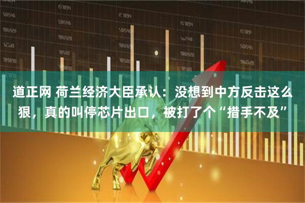 道正网 荷兰经济大臣承认：没想到中方反击这么狠，真的叫停芯片出口，被打了个“措手不及”