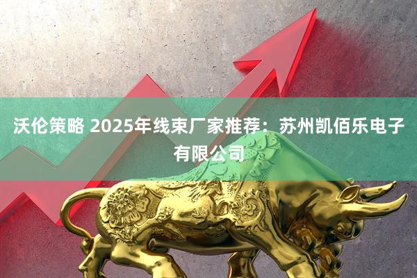 沃伦策略 2025年线束厂家推荐：苏州凯佰乐电子有限公司